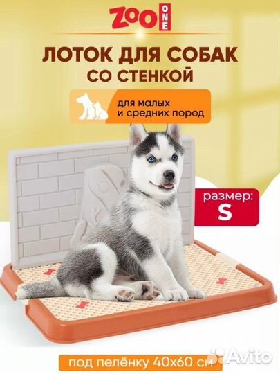 Лоток для собак новый S со стенкой