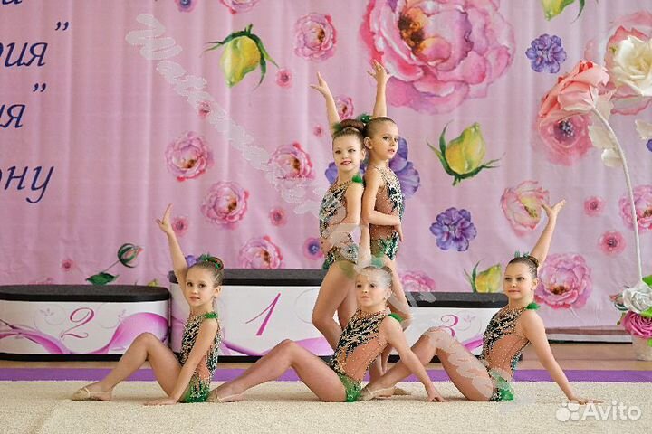 Купальник для художественной гимнастики