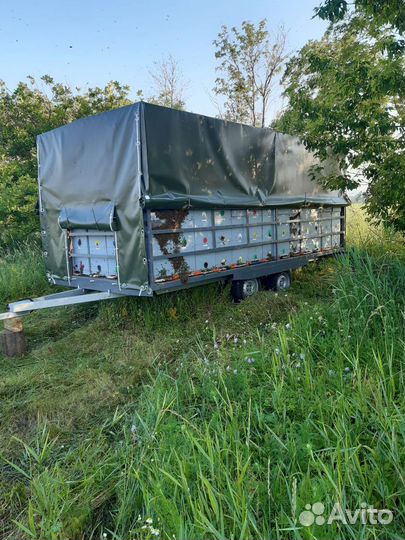 Прицеп пчеловоз легковой двухосный