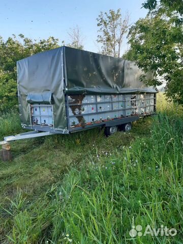 Прицеп пчеловоз легковой двухосный