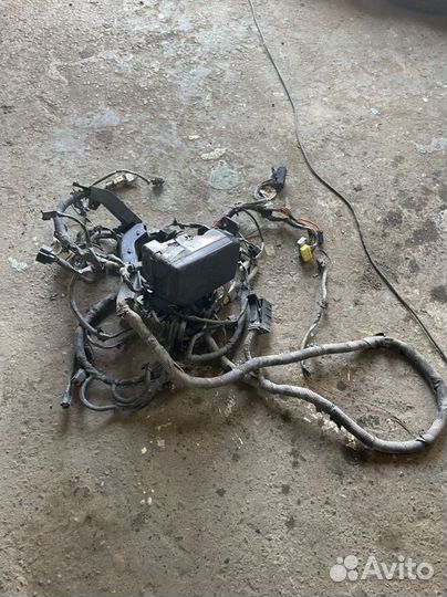 Проводка подкапотная киа рио 2 1.4