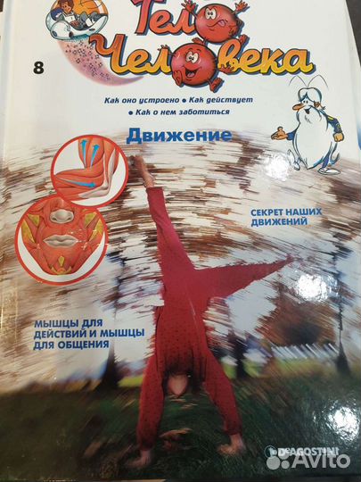 Тело Человека, развивающие книги для детей