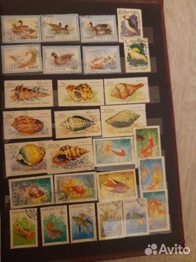 Почтовые марки фауна,флора