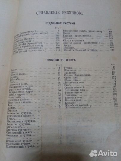 Жизнь животных А.Э. Брэм 1894 год 5 том птицы