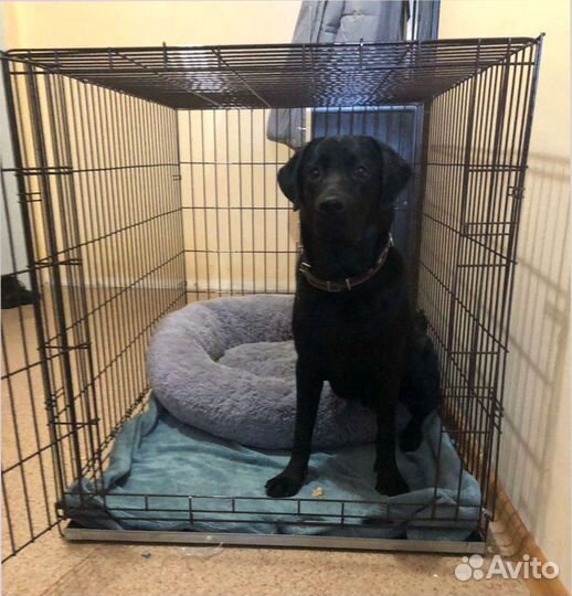 Клетка вольер для собак
