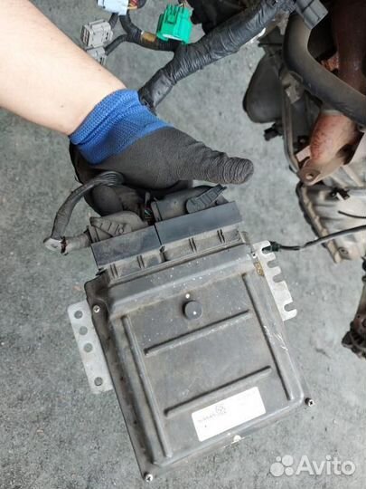 Двигатель nissan elgrand NE51 VQ35DE 6438