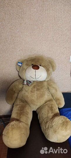 Большой плюшевый медведь