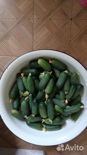 Огурцы и зелень