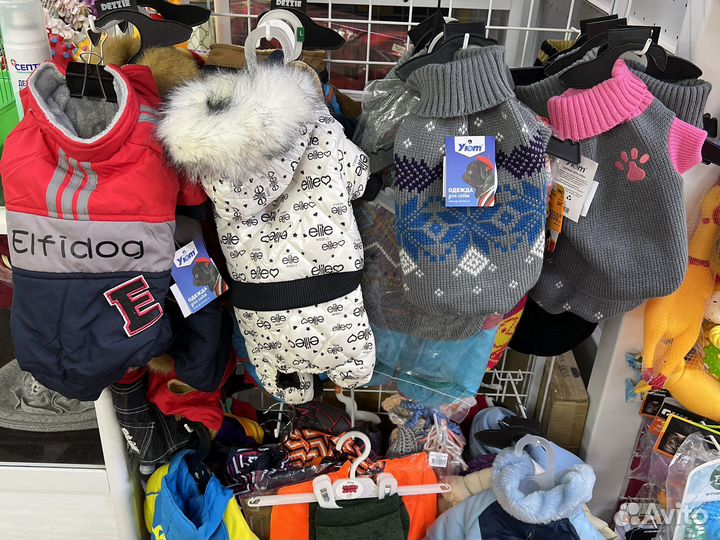 Одежда для собак