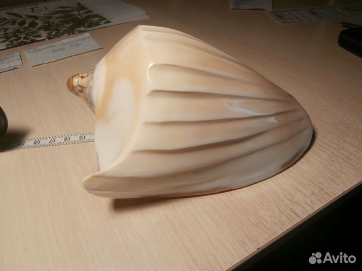 Морские ракушки раковины для аквариума,интерьера