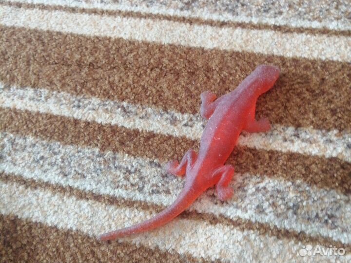 Продаю Лизун ящерицуЯ приведу его в порядок)