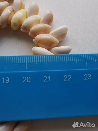 Подставка под горячее (из ракушек)