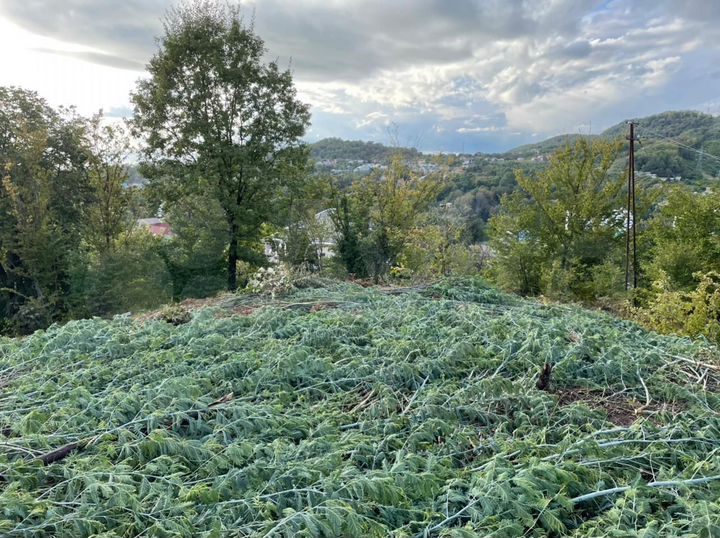 Участок 11 сот. (ИЖС)