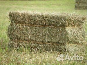 Сено в тюках в рулонах,солома