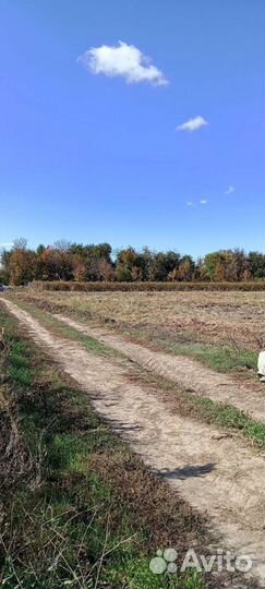 Продам земельный участок