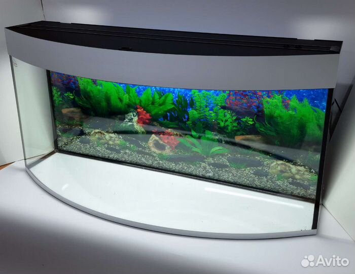 Аквариум на заказ