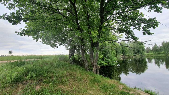 Участок 18 га (СНТ, ДНП)