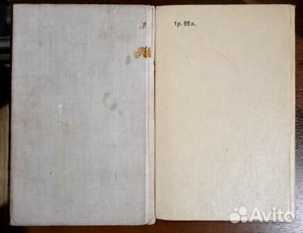 Графиня де Монсоро. Двадцать лет спустя. 2 книги