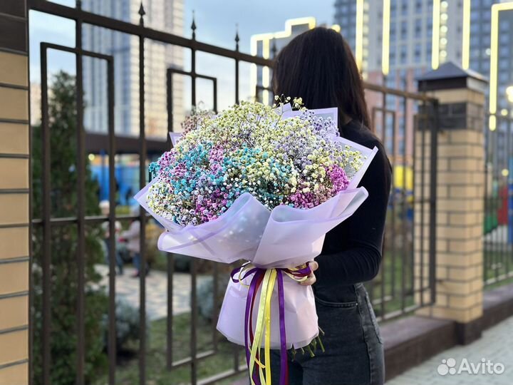 Гипсофила Радужная, Букеты, Растения, Доставка