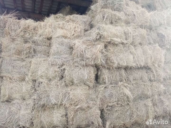 Сено в тюках