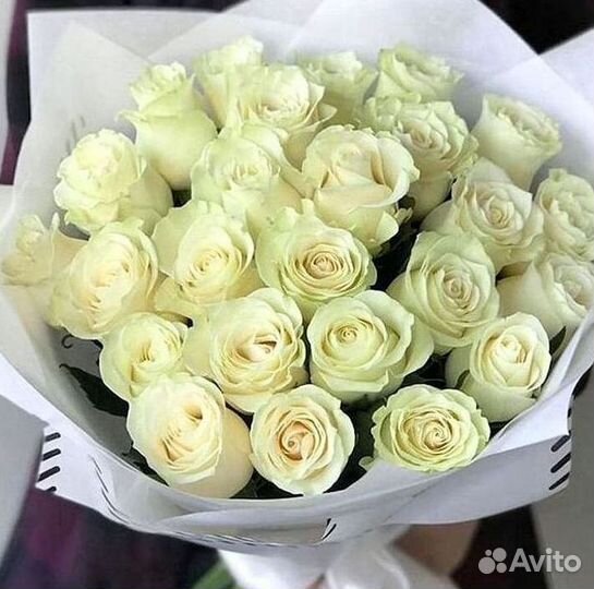 Высокие Высокие розы Гигантские розы Букеты Достав