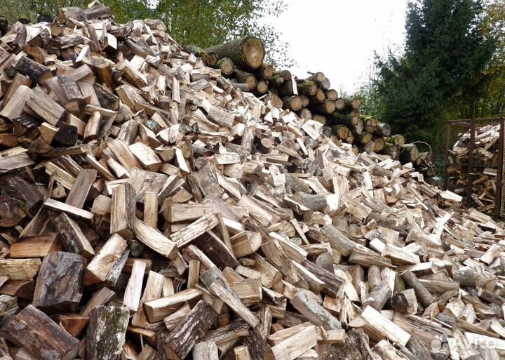 Дрова подсушенные