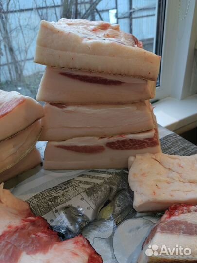 Сало свиное свежее