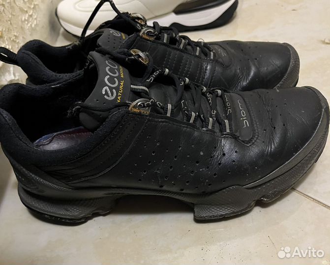 Кроссовки ecco biom