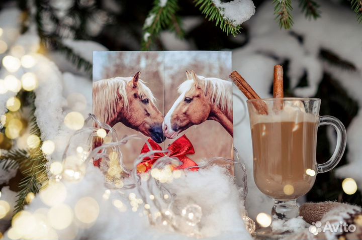 Конный спорт, занятия и прогулки