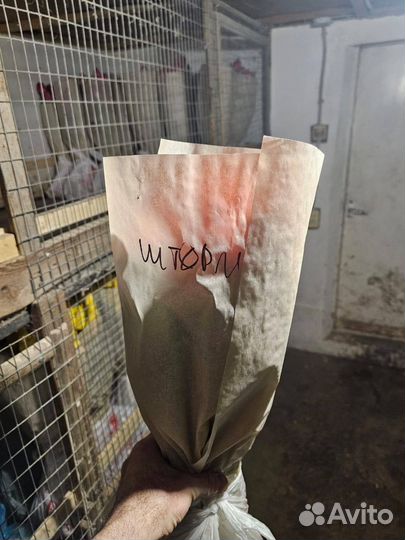 Тюльпаны на 8 марта