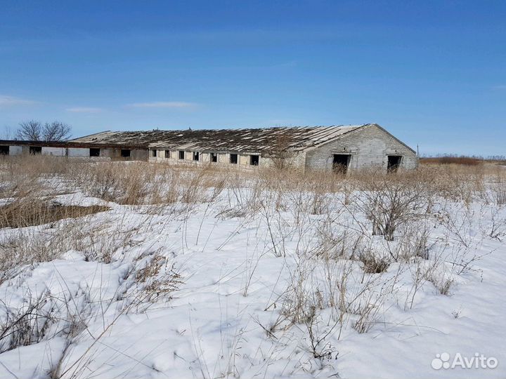 Продам ферму и склады