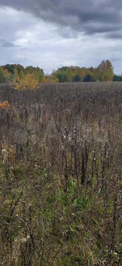 Участок 15 сот. (ИЖС)