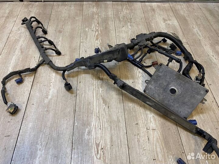 Проводка двигателя (моторная коса) Honda Accord 8