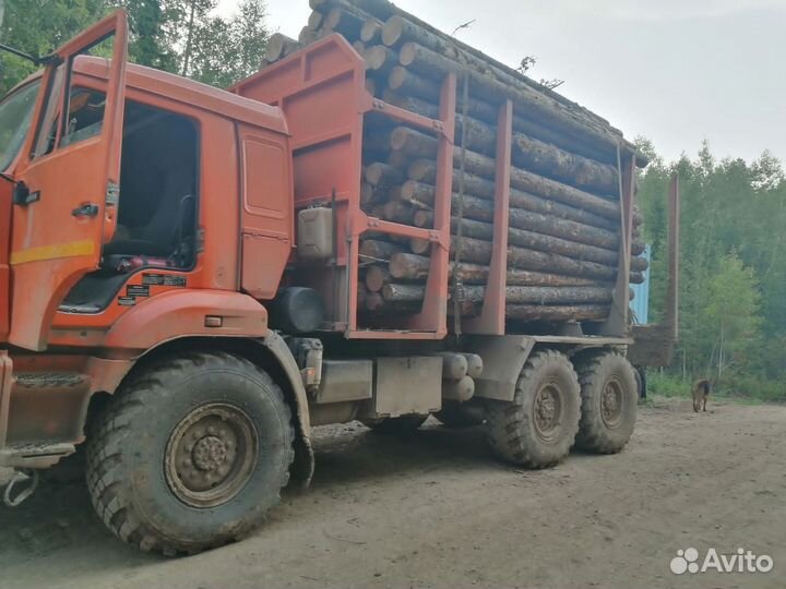 КамАЗ 43118, 2017