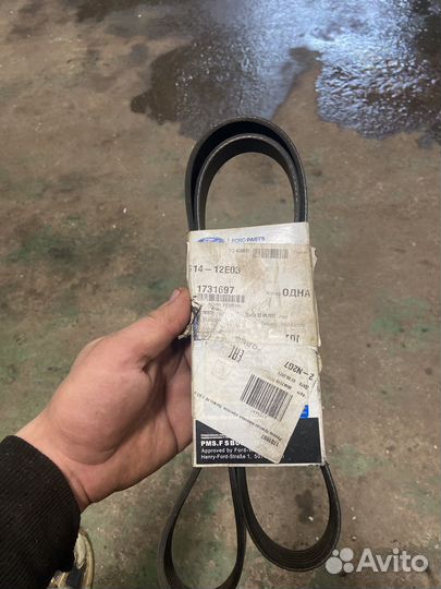 Ремень привода навесных агрегатов Ford Fomoco