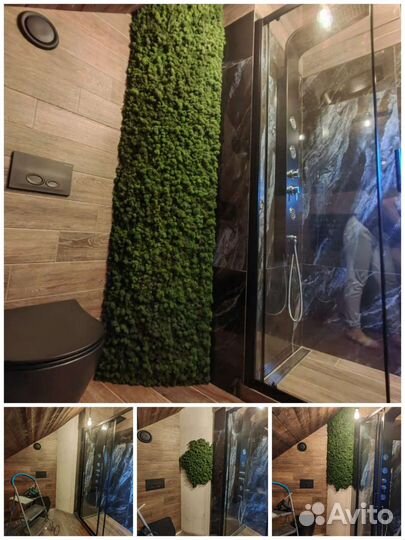 Панели картины, стены, перегородки из мха ягель от