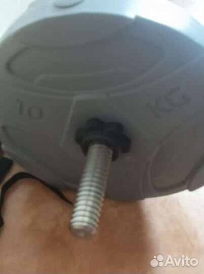 Гриф и блины по 10 кг