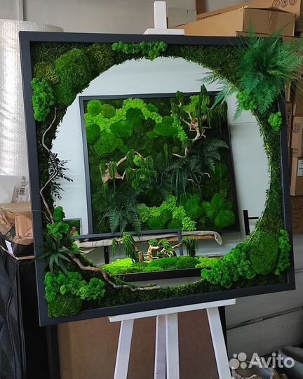 Картина из стабилизированного мха Тверь