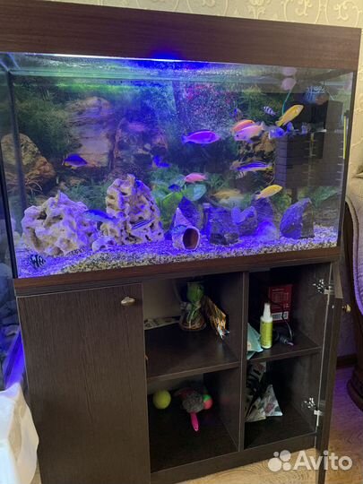 Аквариум