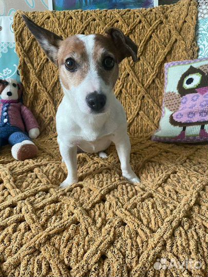 Пледы из Ализе пуффи, 50 предоплата