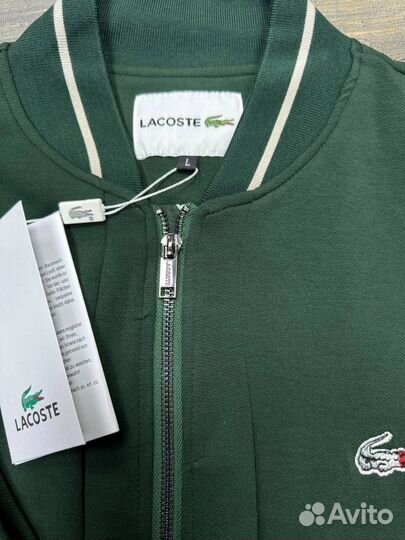 Спортивный костюм мужской Lacoste