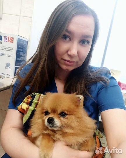 Ветеринарный врач на дом. Вакцинация животных