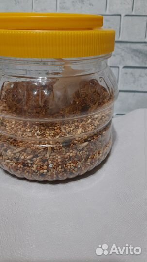 Корм для волнистых попугаев