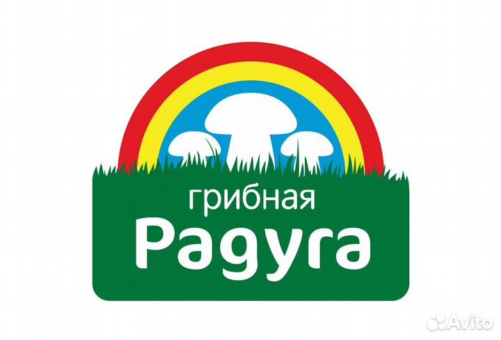 Водитель категории В