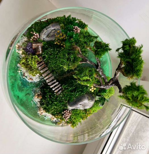 Флорариум Моссариум