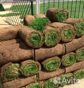 Гидропосев