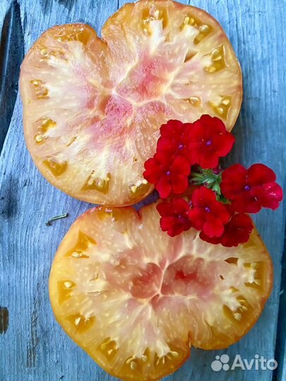 Семена редкого томата медовуха