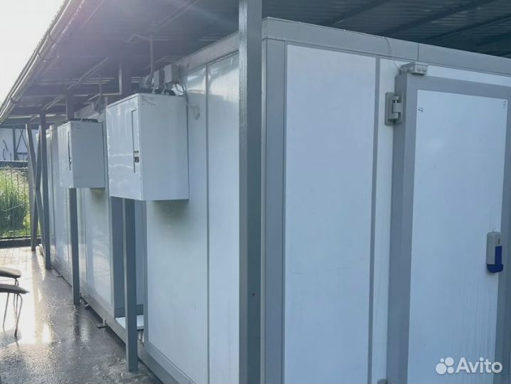 Холодильная камера для мяса