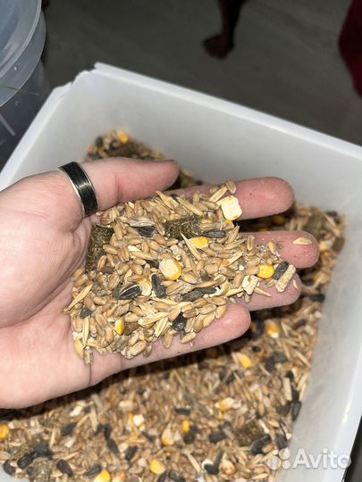 Продам корм для хомяков и мышей