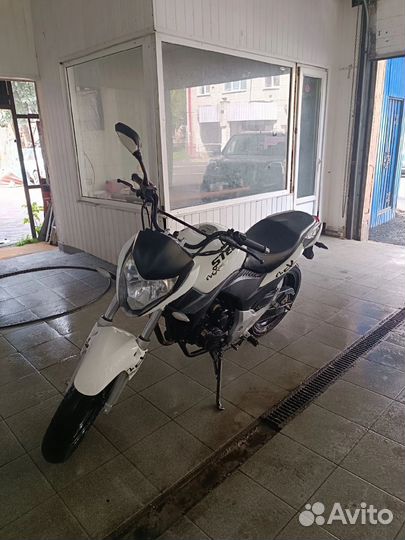 Stels flex 250